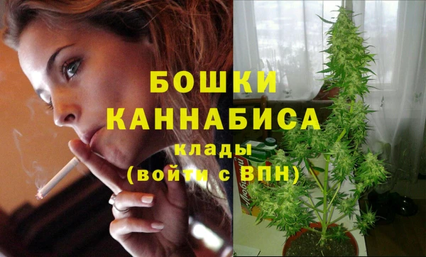 крисы Инсар