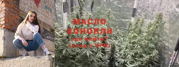 крисы Инсар