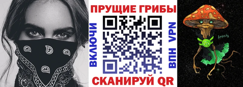 Псилоцибиновые грибы MAGIC MUSHROOMS  Купить закладки  Мостовской 